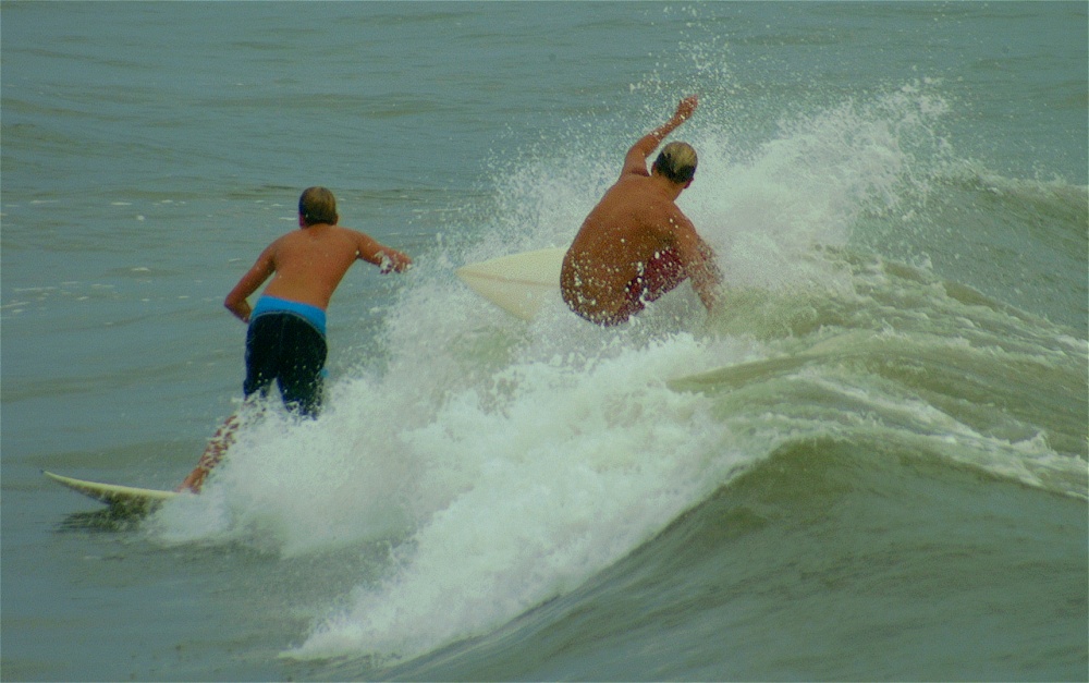 (21) Dscf3841 (bushfish - morning surf 1).jpg   (1000x627)   202 Kb                                    Click to display next picture